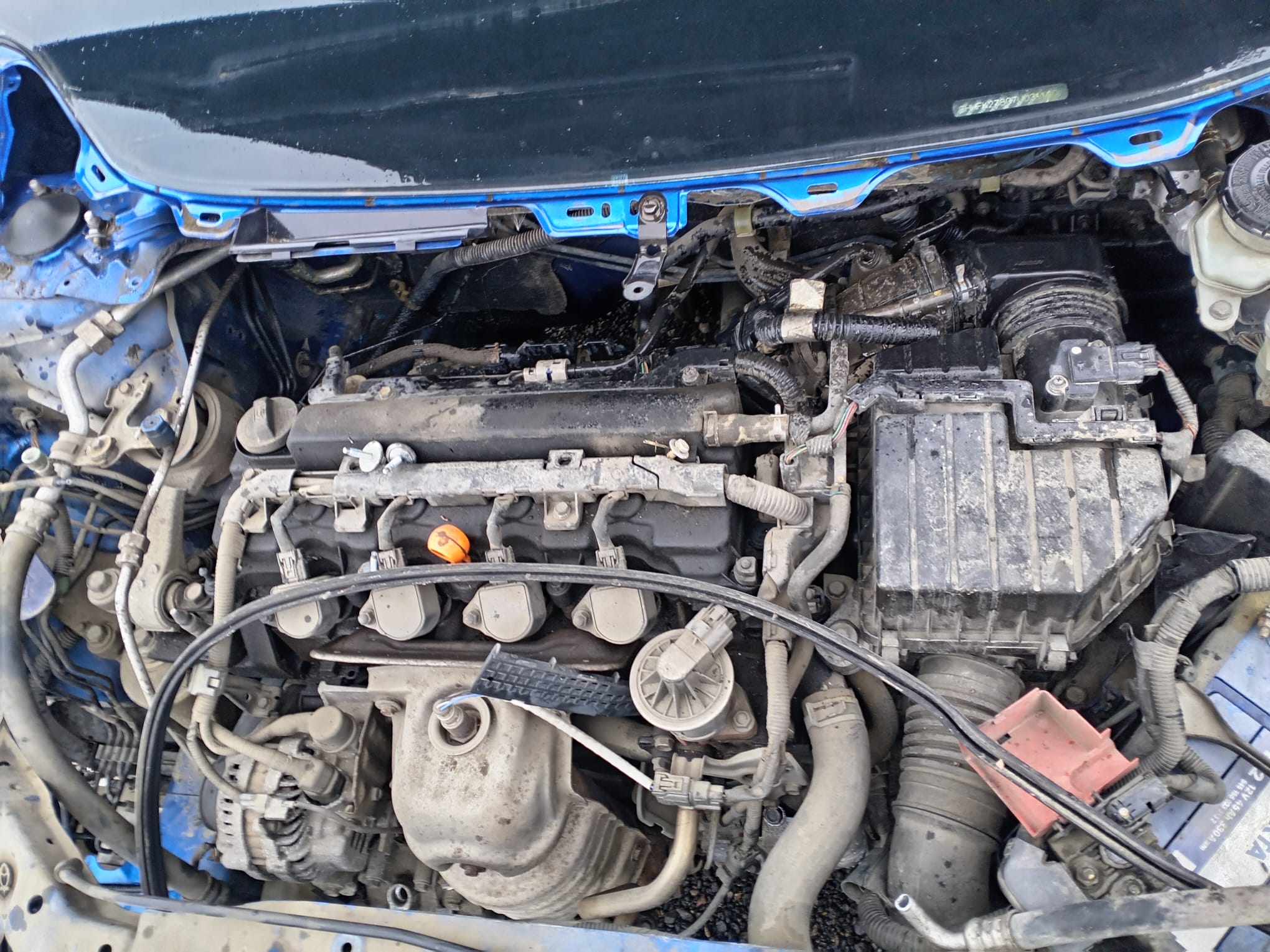 WhatsApp Image 2026-02-20 at 16.03.25