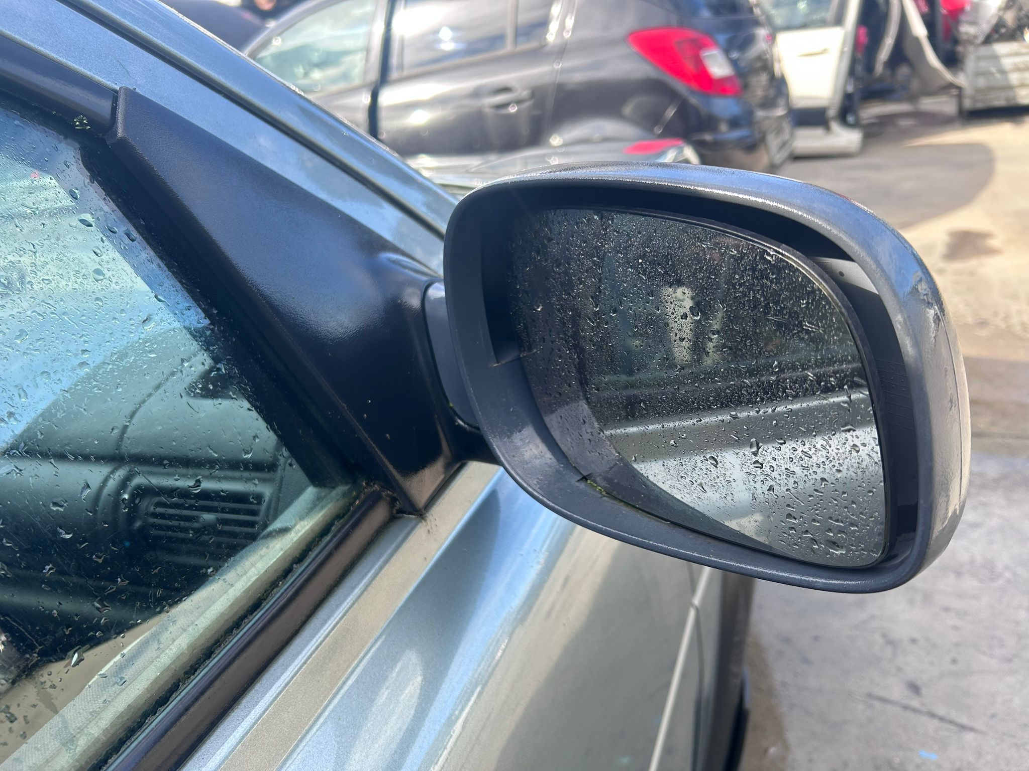 WhatsApp Image 2026-02-27 at 12.18.02 (3)