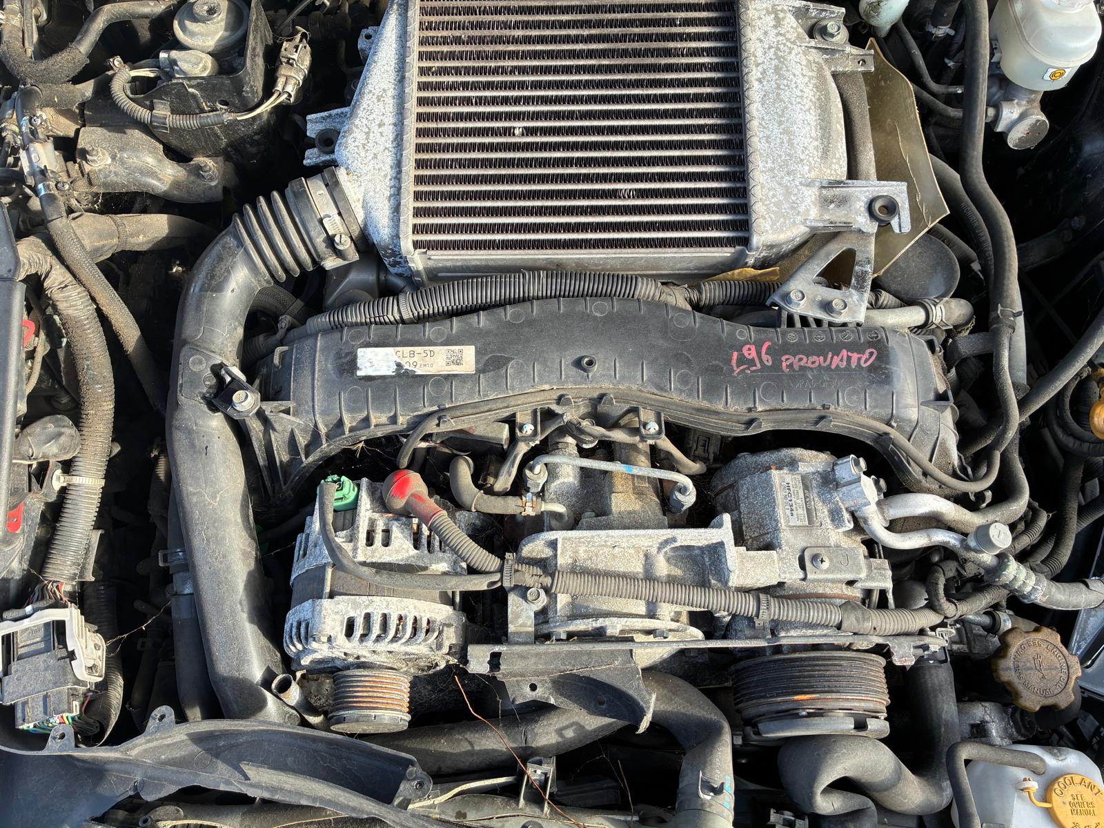 WhatsApp Image 2026-03-04 at 10.12.01 (9)