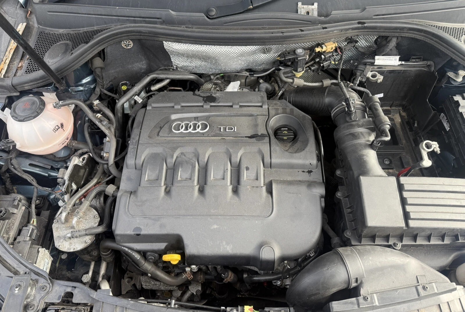 WhatsApp Image 2026-04-08 at 08.43.12